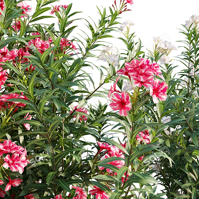 Versatile 3D Plant Bundle 3D model image 2