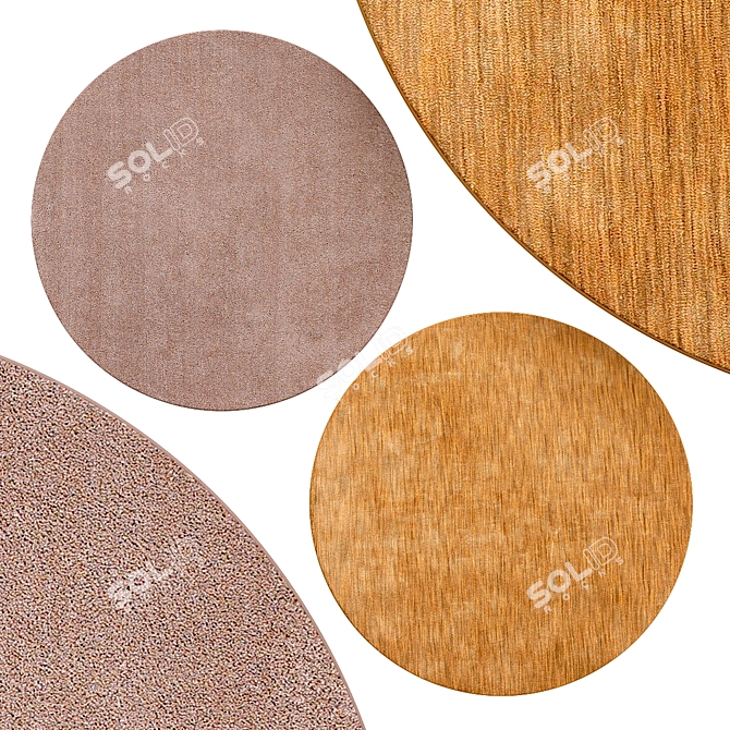 Sophisticated Circular Rugs | No. 166 3D model image 1