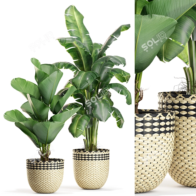 Stunning Plants Collection 449 3D model image 1