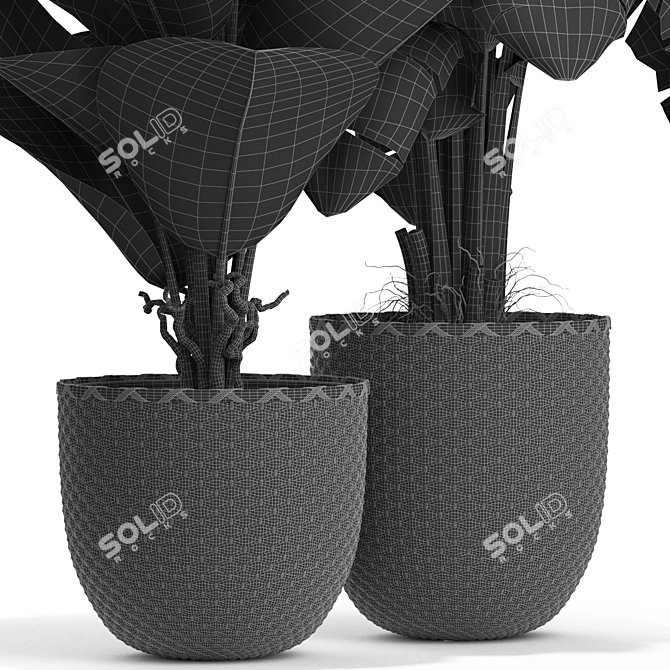 Stunning Plants Collection 449 3D model image 3