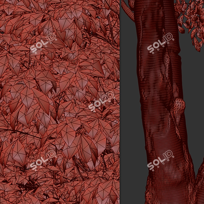 Himalayan Birch Tree Set (2 Trees) 3D model image 5
