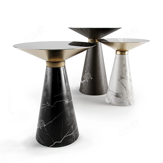 Elegant Vida Coffee Table Set 3D model image 7