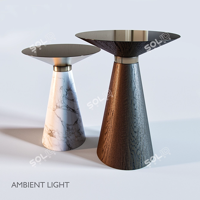 Elegant Vida Coffee Table Set 3D model image 10