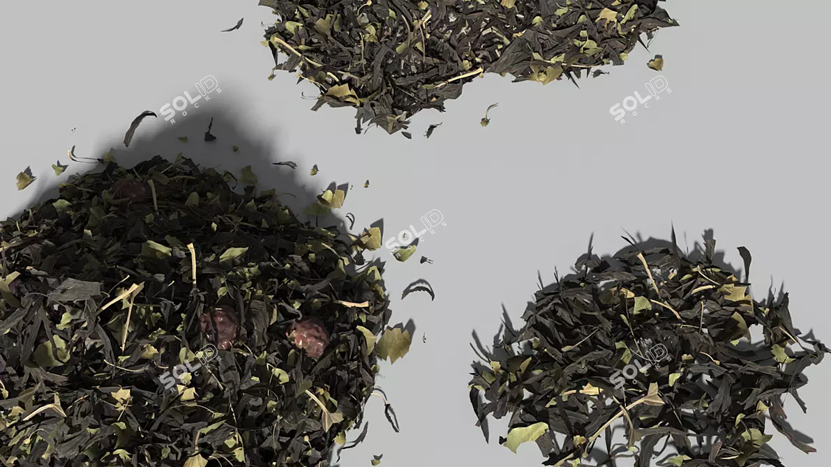 Layered Loose Leaf Tea 3D model image 4