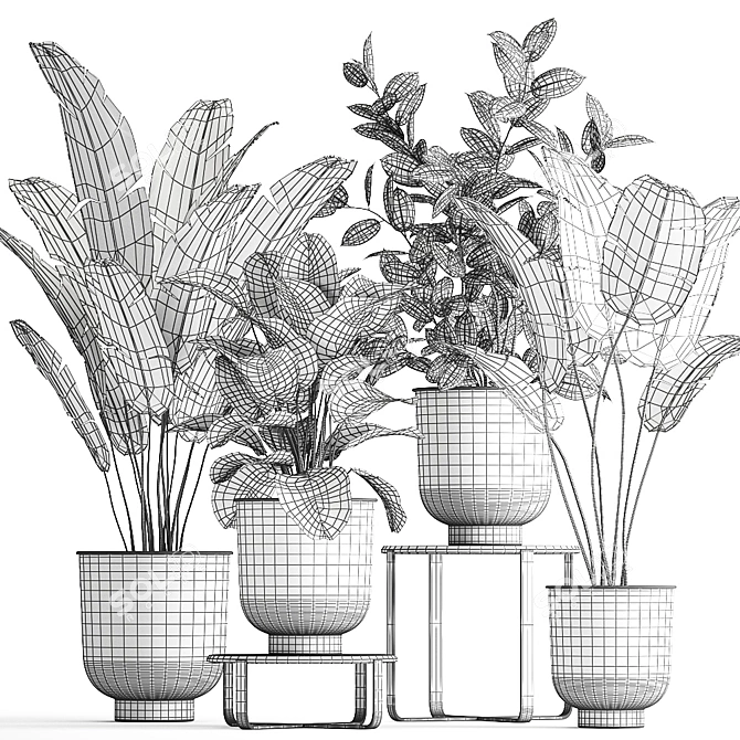 Tropical Plant Collection in Stylish Black Pots 3D model image 5