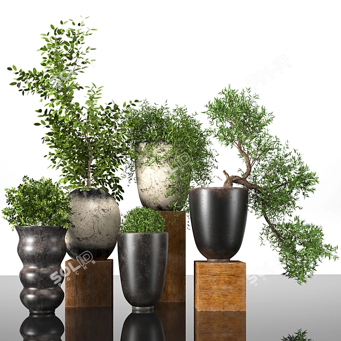 Premium Plant Collection: 3D Models for 3dsMax 3D model image 1