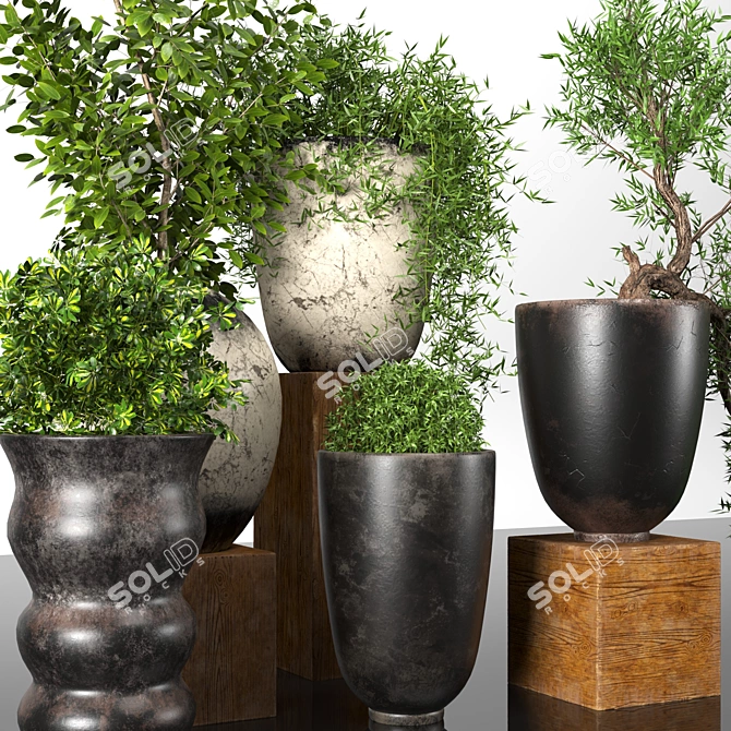 Premium Plant Collection: 3D Models for 3dsMax 3D model image 2