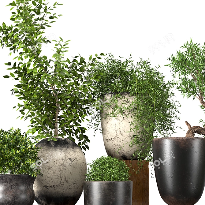 Premium Plant Collection: 3D Models for 3dsMax 3D model image 3