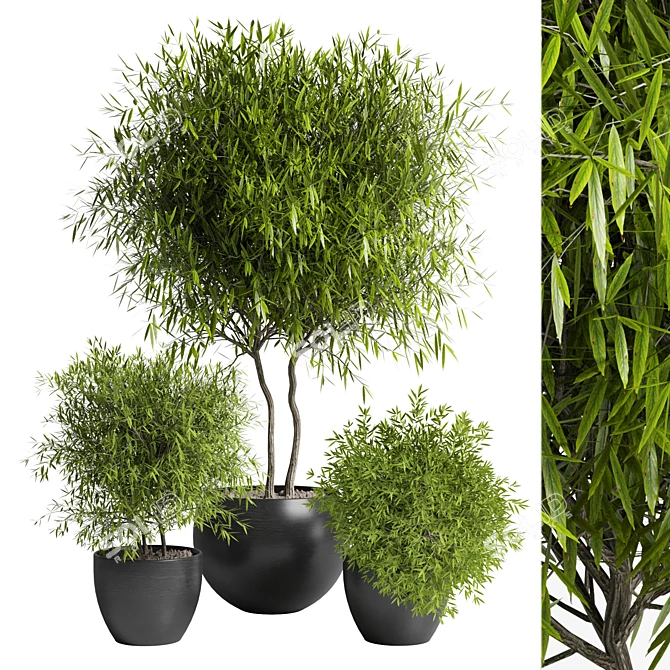 Outdoor Plant 11: Realistic 3D Model 3D model image 1
