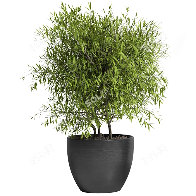 Outdoor Plant 11: Realistic 3D Model 3D model image 2