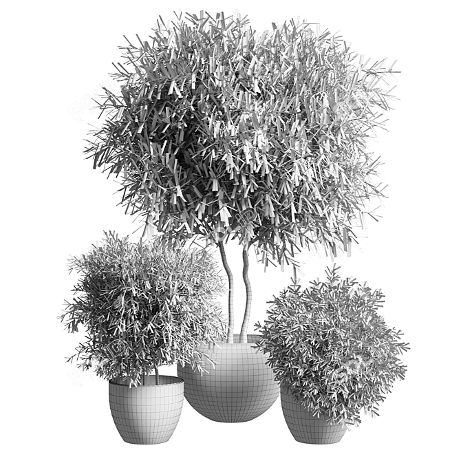 Outdoor Plant 11: Realistic 3D Model 3D model image 5