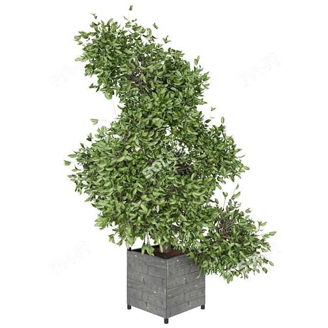 Plant Collection Vol 104: High-Quality Textures & Materials 3D model image 3