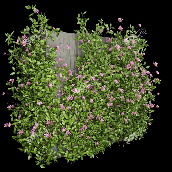 Premium Plant Collection Vol. 105 3D model image 2