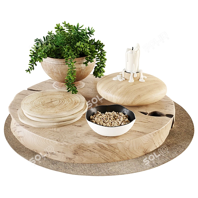 Succulent Decor Set with Wooden Stands, Candle, and Nuts 3D model image 1