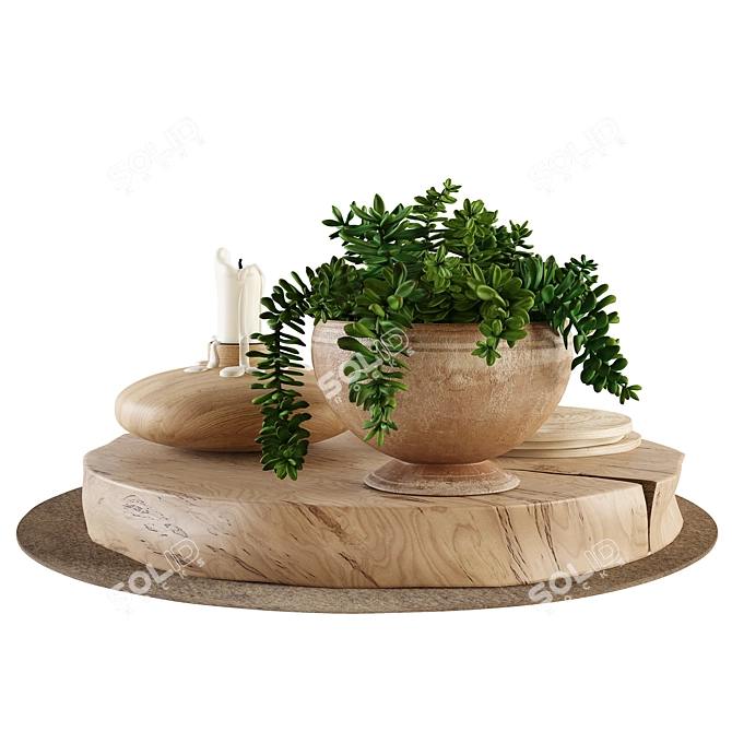 Succulent Decor Set with Wooden Stands, Candle, and Nuts 3D model image 2