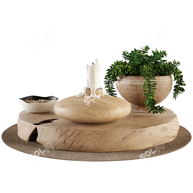 Succulent Decor Set with Wooden Stands, Candle, and Nuts 3D model image 3