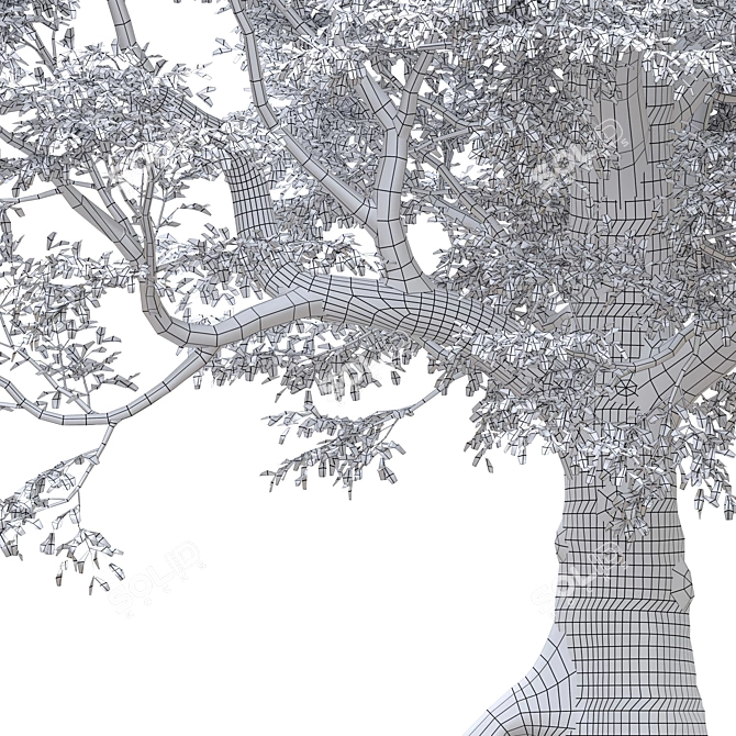 Majestic Oak Tree for Vray 3D model image 4