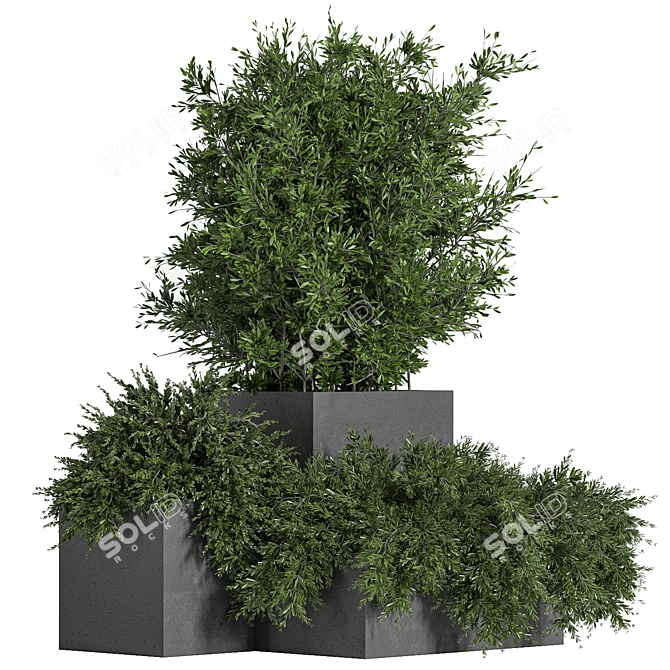 Concrete Box Outdoor Plant Tree 3D model image 1
