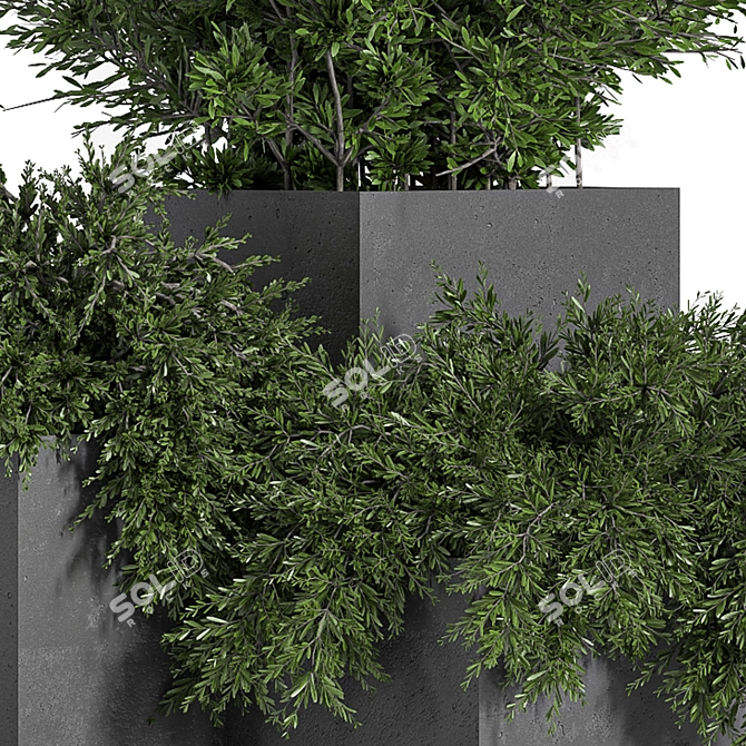 Concrete Box Outdoor Plant Tree 3D model image 3