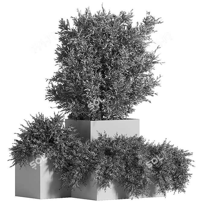 Concrete Box Outdoor Plant Tree 3D model image 5