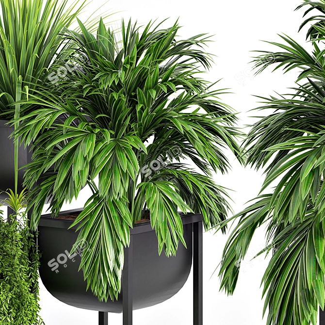 Ultimate Indoor Plant Set 3D model image 3
