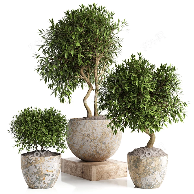 Concrete Pot Outdoor Plant 3D model image 1