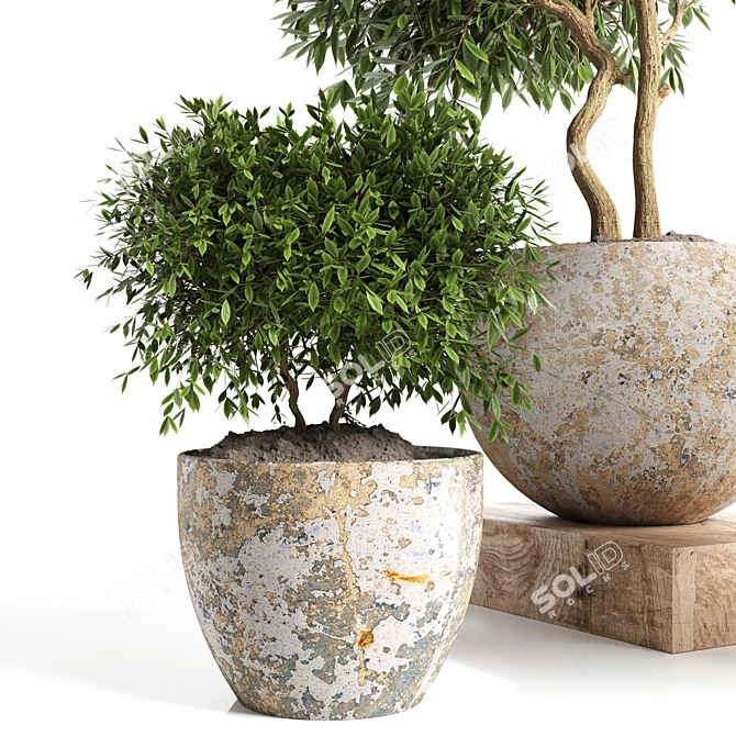 Concrete Pot Outdoor Plant 3D model image 3