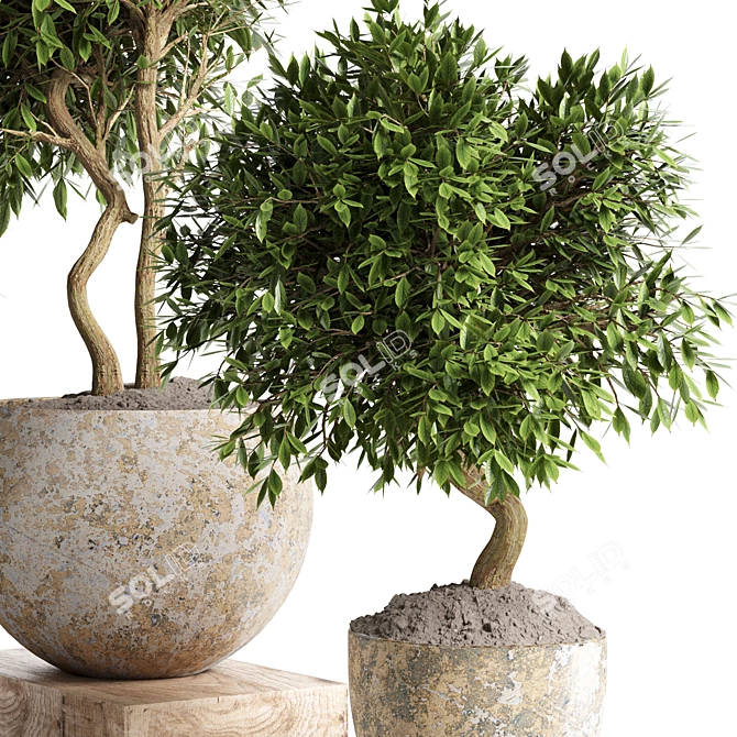 Concrete Pot Outdoor Plant 3D model image 4