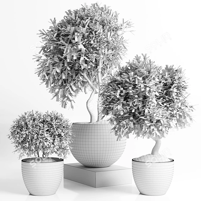 Concrete Pot Outdoor Plant 3D model image 5