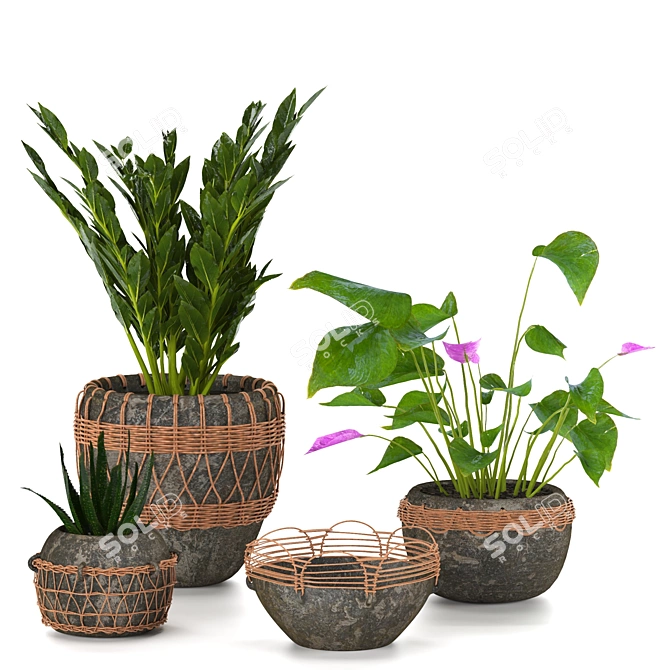 Eco Green Plant Collection 3D model image 1