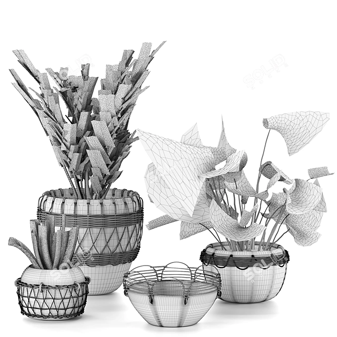 Eco Green Plant Collection 3D model image 2