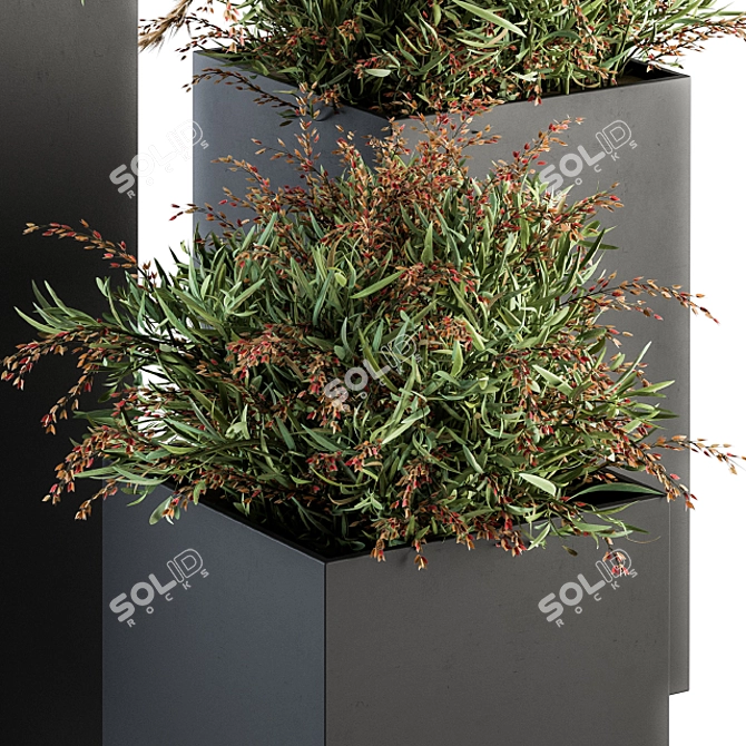 Lush Photinia: Indoor Plant Set 3D model image 2