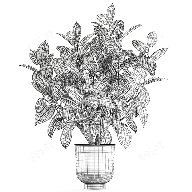 Exotic Plant Collection in Vig Planter 3D model image 5