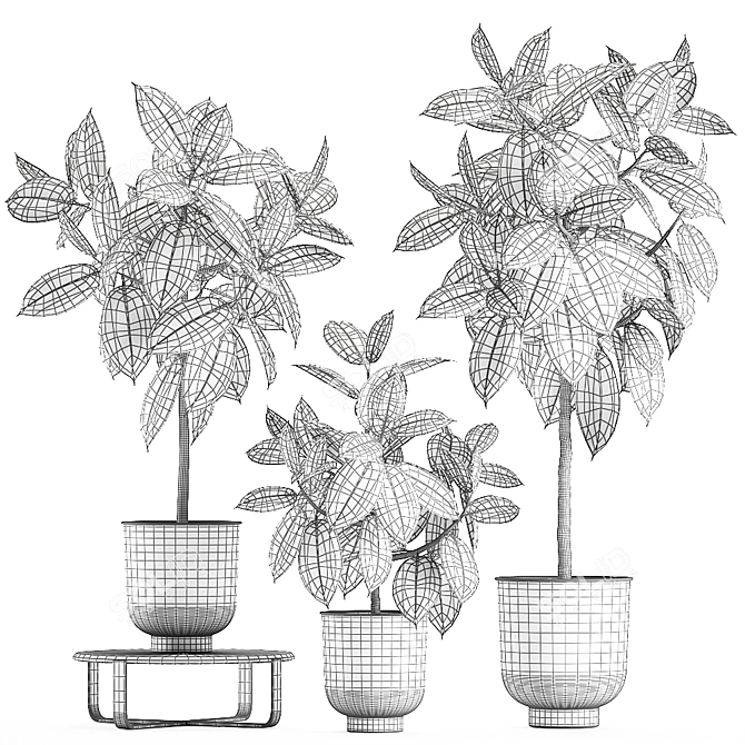 Tropical Plant Collection in Stylish Vig Planters 3D model image 5