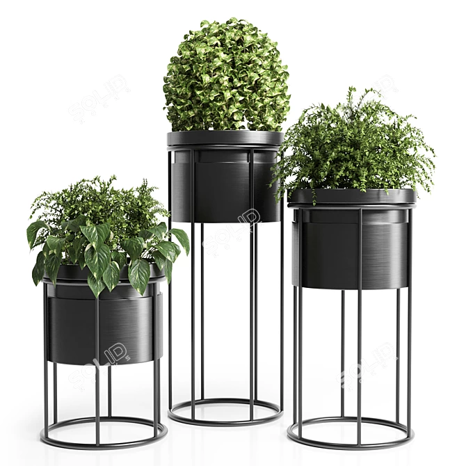 Indoor Plant Stand - Modern Design 3D model image 1