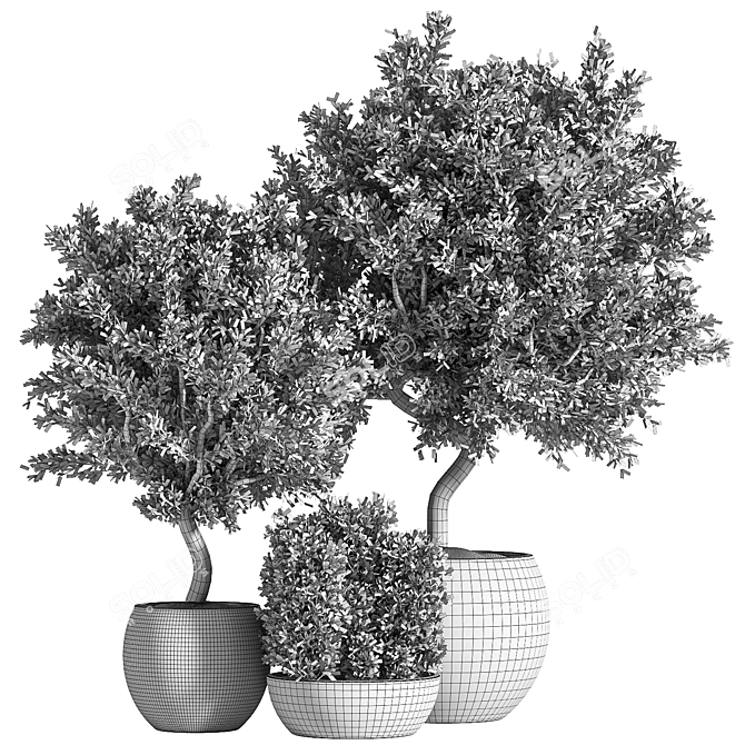 Large Outdoor Tree Plant 01 3D model image 5