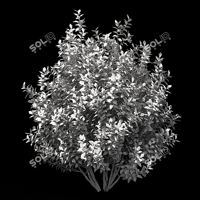 Blueberry Bushes - High Poly 3D Models 3D model image 4