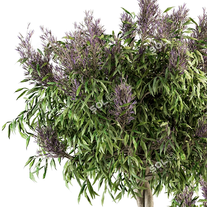 Lush Lavender Tree Trio: Outdoor Plant Set 3D model image 2