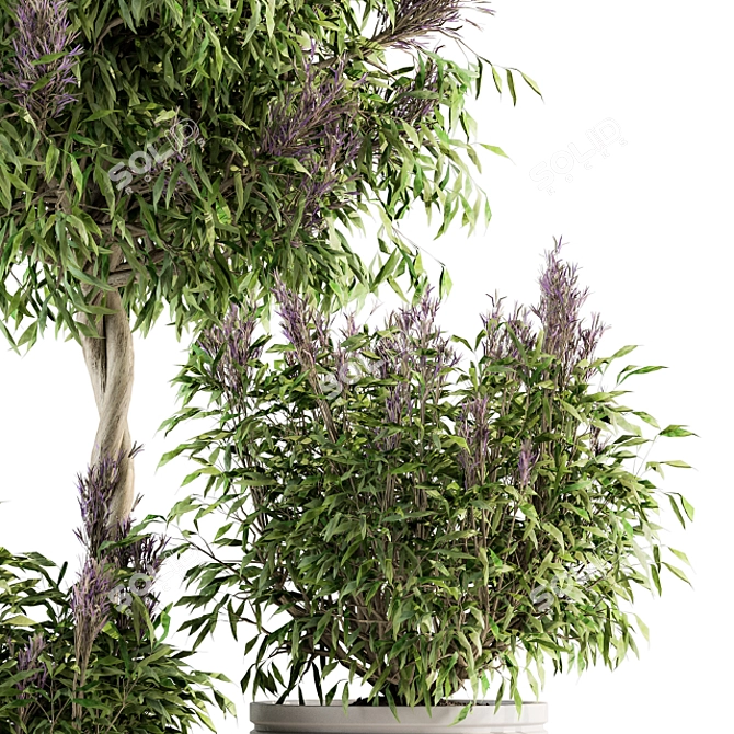 Lush Lavender Tree Trio: Outdoor Plant Set 3D model image 4