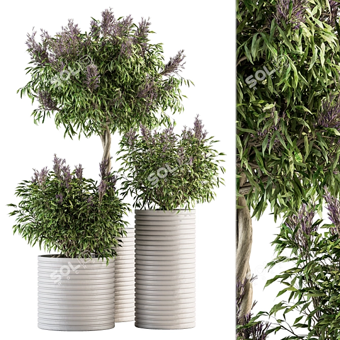 Lush Lavender Tree Trio: Outdoor Plant Set 3D model image 5