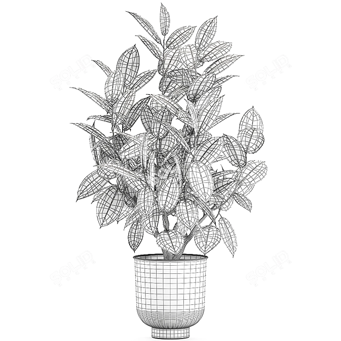 Tropical Plant Collection: Exotic Ficus Elastica in Vig Planter 3D model image 5