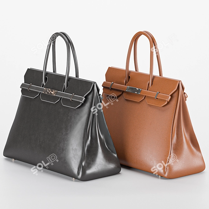 Elegant Ladies Hand Bag 3D model image 1