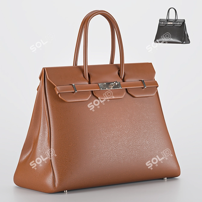 Elegant Ladies Hand Bag 3D model image 2