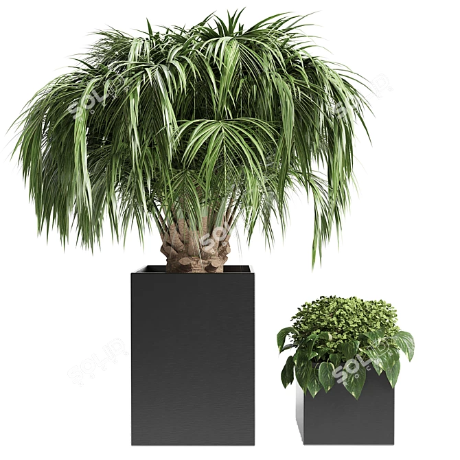 13-Palm Tree: Outdoor Plant for 3D Max 3D model image 1