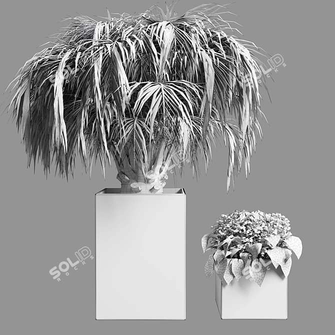 13-Palm Tree: Outdoor Plant for 3D Max 3D model image 3