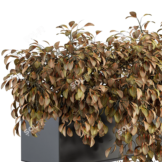  Outdoor Hanging Plant Box 3D model image 2