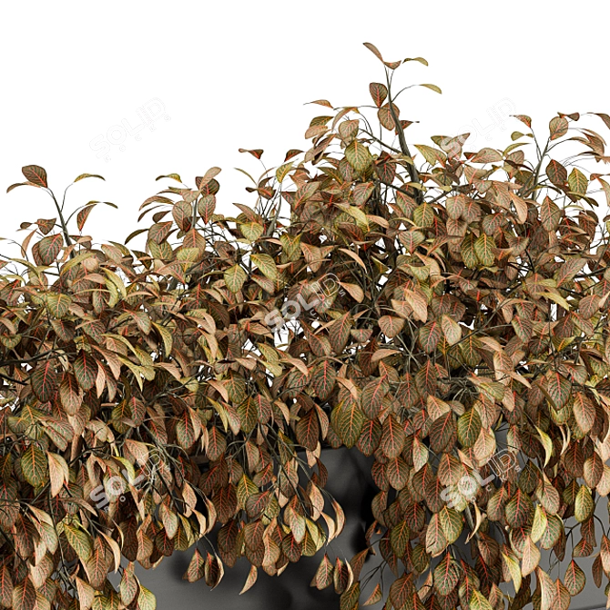  Outdoor Hanging Plant Box 3D model image 3