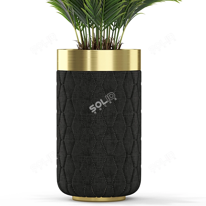 Evergreen Plant Set - 453 3D model image 2