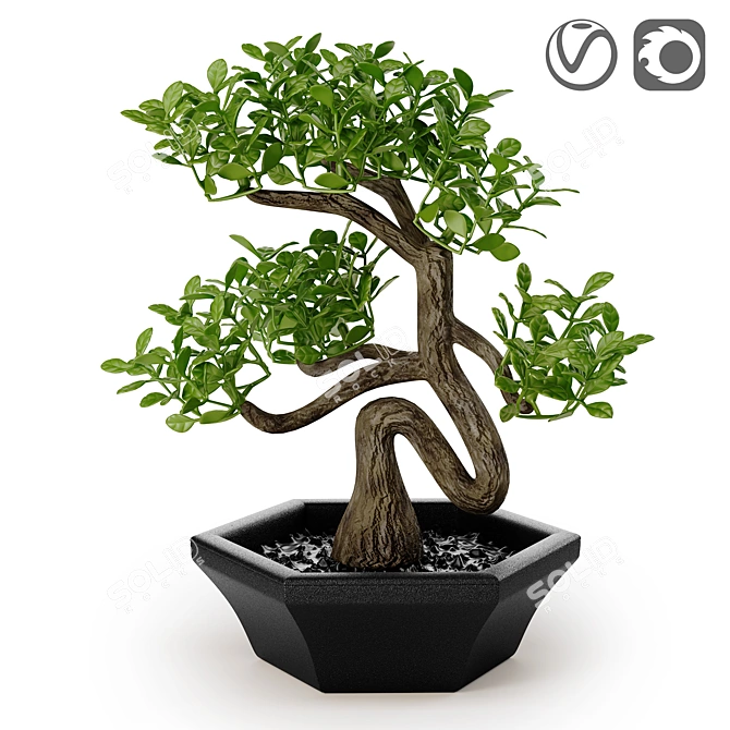 FEJKA FAKE: Artificial Bonsai for Easy Home or Outdoor Decoration 3D model image 1