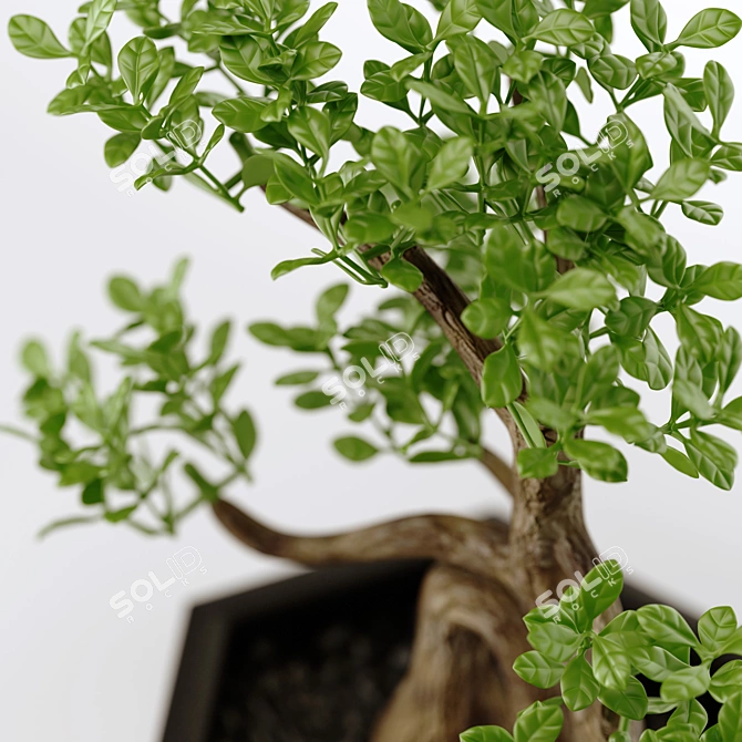 FEJKA FAKE: Artificial Bonsai for Easy Home or Outdoor Decoration 3D model image 4